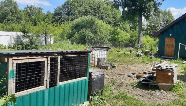 Двое парней из Ардатовского района пойдут под суд за кражу кроликов, колес и денег 9 Двое парней из Ардатовского района пойдут под суд за кражу кроликов, колес и денег old 118626 Двое парней из Ардатовского района пойдут под суд за кражу кроликов, колес и денег