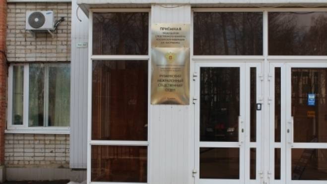old 118862 СКР начал проверку после сообщений о нападении собаки на детей в Рузаевке