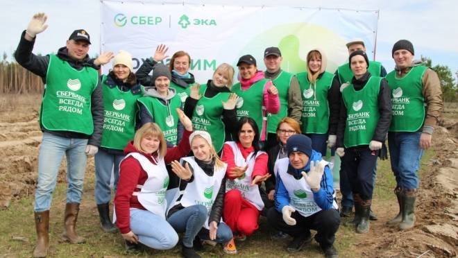 В 2022 году волонтеры Сбера, совместно с активистами движения ЭКА, высадили 10 тысяч деревьев 5 В 2022 году волонтеры Сбера, совместно с активистами движения ЭКА, высадили 10 тысяч деревьев old 119231 В 2022 году волонтеры Сбера, совместно с активистами движения ЭКА, высадили 10 тысяч деревьев