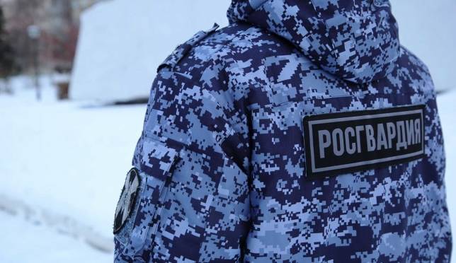 old 119365 В Торбеево сотрудники Росгвардии нашли пропавшего человека