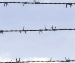 article 1505518 Возможно ли из-за кредита сесть в тюрьму?