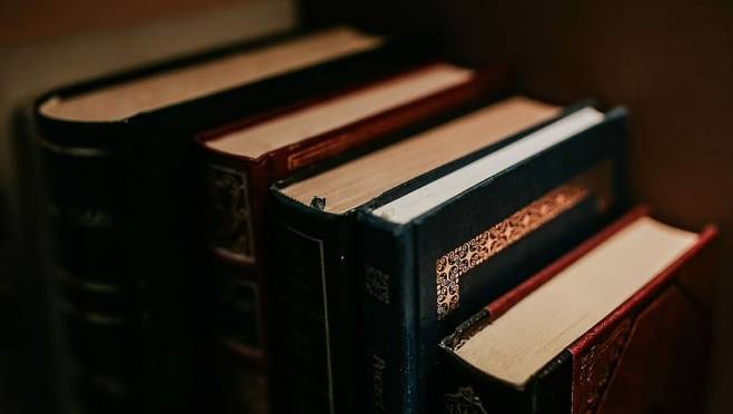 old 120663 Библиотека им. А.С. Пушкина в Саранске приглашает на День книгодарения