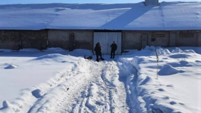 old 121276 В Алтайском крае мать заживо сожгла полуторагодовалую дочь на глазах у восьмилетнего сына