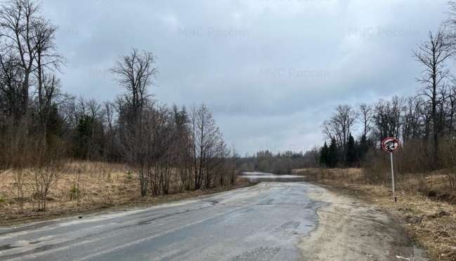 old 122703 83 приусадебных участка и 8 низководных мостов остаются подтоплены в Мордовии