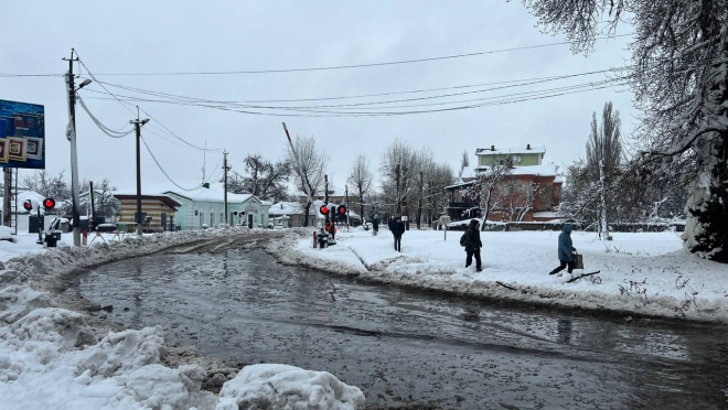 old 122731 В ЛНР произошел снежный апокалипсис: такого давно здесь не видели – кругом оборванные провода и упавшие деревья