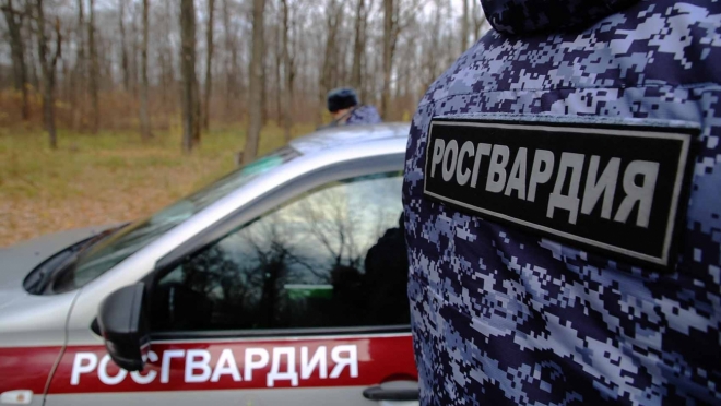 old 123043 Лишенный прав за нетрезвое вождение житель Атяшевского района едва не устроил пьяное ДТП в Комсомольском