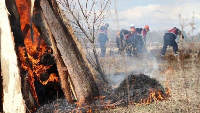 old 123458 Жителей Мордовии будут штрафовать за прогулки по лесу
