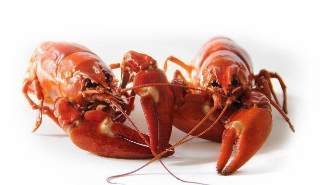 Житель Мордовии украл 1 млн рублей, положенных ракам 6 Житель Мордовии украл 1 млн рублей, положенных ракам old 123783 Житель Мордовии украл 1 млн рублей, положенных ракам