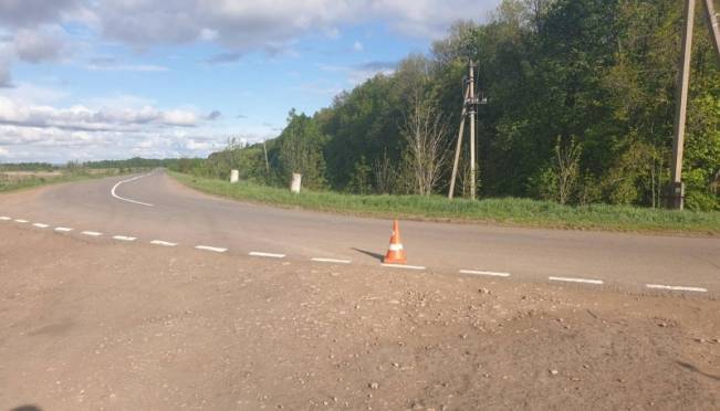 old 124164 В Лямбирском районе водитель отправил товарища на больничную койку