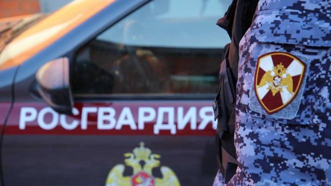old 124173 В Рузаевке местный житель выпил и его потянуло на криминальное приключение