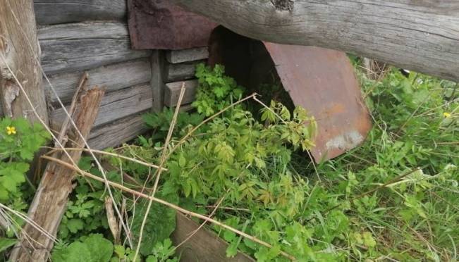 old 124556 Житель Мордовии пострадал из-за находки в поле