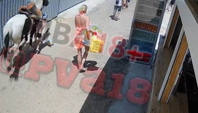 old 125099 В Анапе лошадь сломала нос ребенку