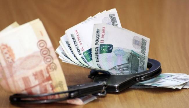 old 125219 В Мордовии предприниматели похитили из бюджета 64 млн рублей