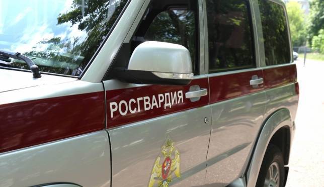 old 125746 Ночью в Саранске разбушевались два дебошира