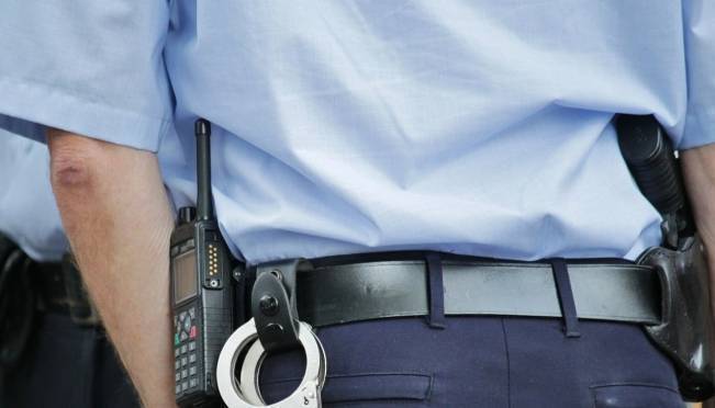 19-летняя жительница Брянска стащила в Саранске 25 игрушек 7 19-летняя жительница Брянска стащила в Саранске 25 игрушек old 126760 19-летняя жительница Брянска стащила в Саранске 25 игрушек