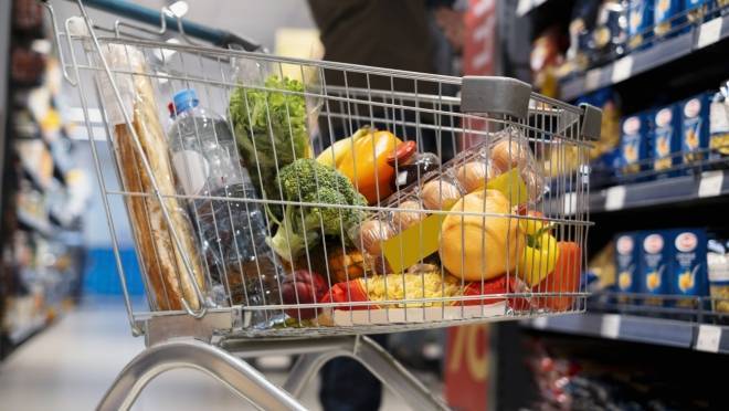 old 126987 Обмануть не получится: найден способ определить свежесть продуктов