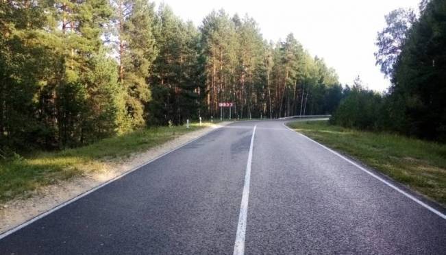 old 127444 В Торбеевском районе 19-летний парень с 16-летним другом перевернулся в кювет и напился