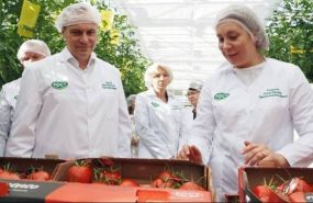 old 127935 В Мордовии открыли мощные теплицы для овощей