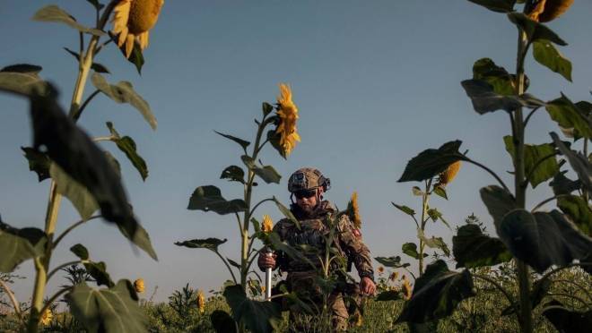 На Украине заявили о начале Третьей мировой войны 6 На Украине заявили о начале Третьей мировой войны old 128190 На Украине заявили о начале Третьей мировой войны
