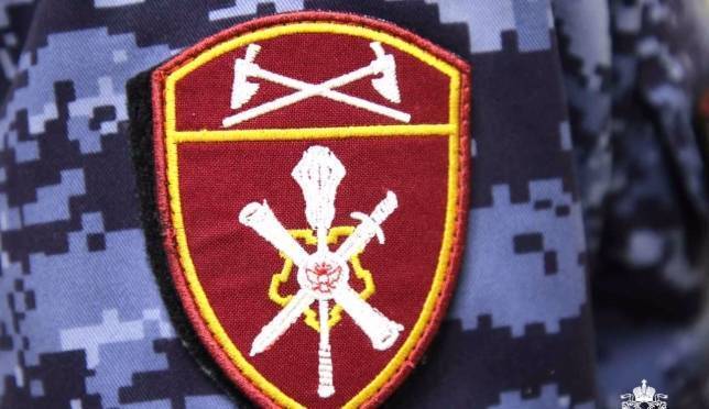 old 128633 В Мордовии росгвардейцы изъяли 21 единицу оружия