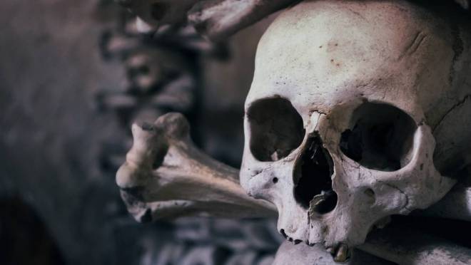 В Саратовской области тракторист наткнулся на старинное захоронение 7 В Саратовской области тракторист наткнулся на старинное захоронение old 129139 В Саратовской области тракторист наткнулся на старинное захоронение