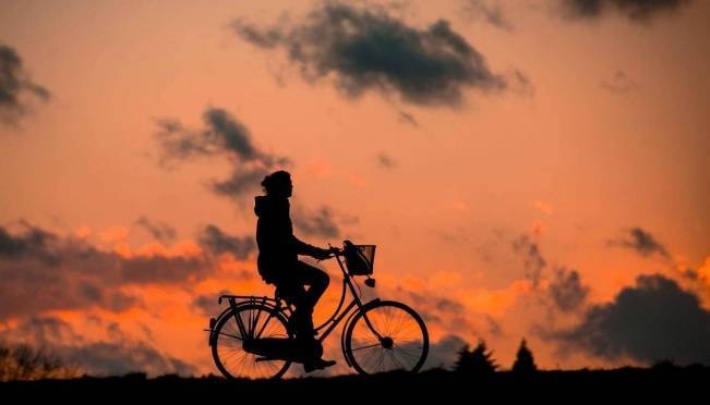 old 129415 В Мордовии сварщик украл велосипед у пенсионерки