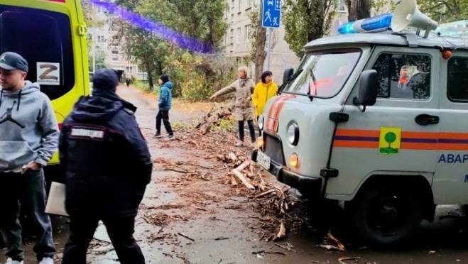 old 129424 Александр Бастрыкин потребовал доклад из Липецка об инциденте с упавшим на ребенка деревом