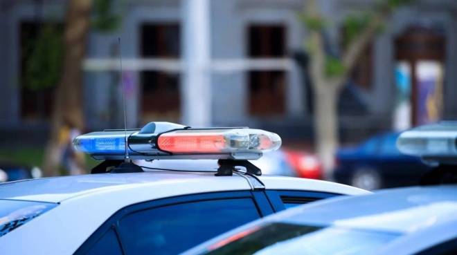 old 129463 В Петербурге по частям нашли тело пенсионера