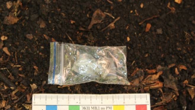 old 129562 В Мордовии 26-летний парень попался на оборудовании закладок с гашишем