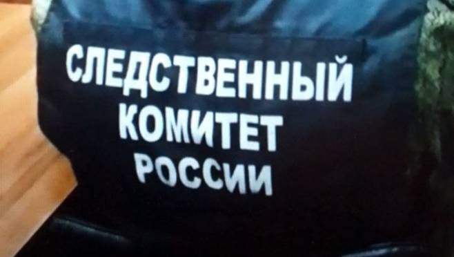 old 129642 Глава Следственного Комитета Бастрыкин возбудил дело против подростков с Кавказа, избивавших жителей Петербурга