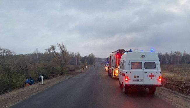 old 129691 «Лада» перевернулась в кювет в Зубово-Полянском районе Мордовии