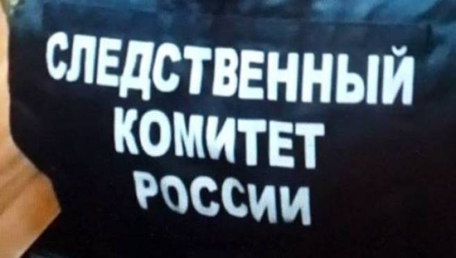old 129865 Глава СК Бастрыкин сообщил, что ждет беспредельщиков-мигрантов, которые избивали и грабили подростков в Самаре