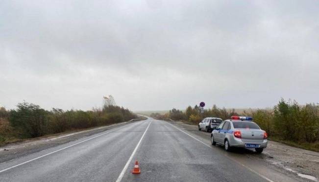 old 129921 В Мордовии ищут очевидцев смертельного ДТП