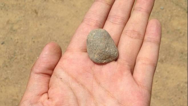 old 130093 В Новосибирске дети мигрантов терроризируют местных жителей