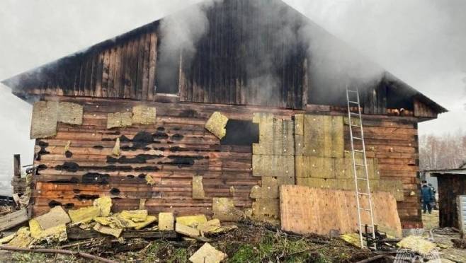 old 130230 Названо число лошадей, погибших в пожаре под Новосибирском