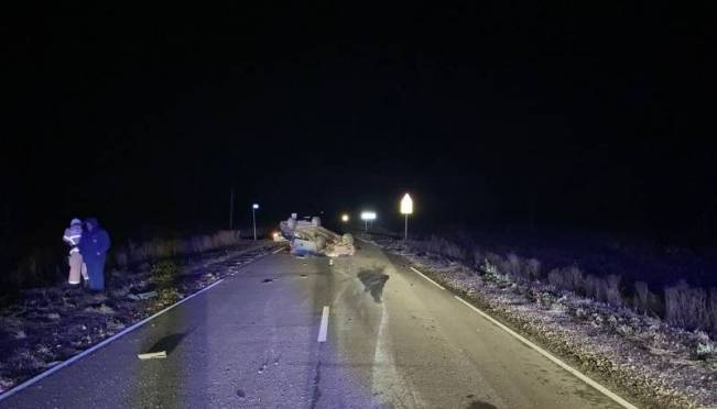 old 130462 В Темниковском районе иномарка сбила лошадь