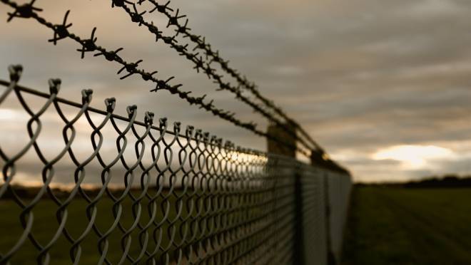 old 130863 В Финляндии рассказали, зачем военные начали строить забор на границе с Россией