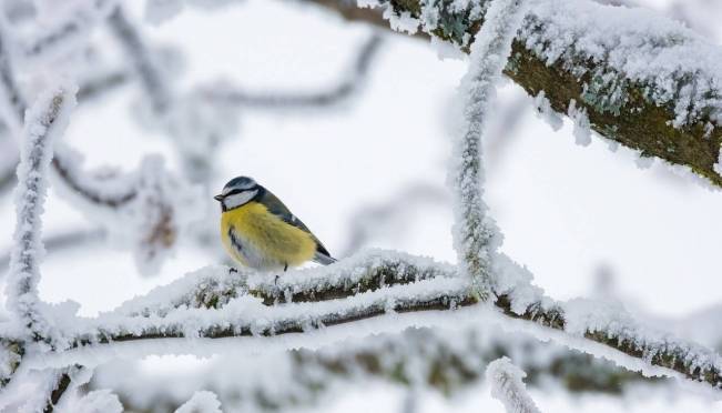 old 131313 Аномально холодная погода ожидается в России: Морозы достигнут рекордных отметок