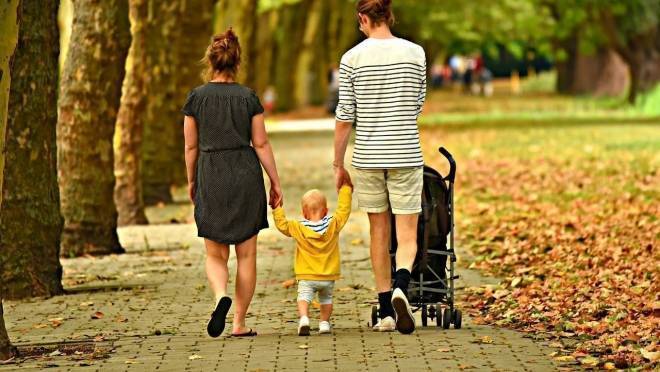 old 131362 В России хотят строить коттеджные поселки для многодетных