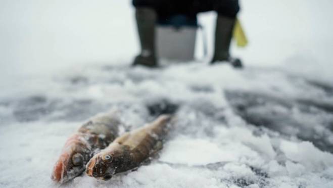 old 131415 Под Екатеринбургом при загадочных обстоятельствах исчез опытный рыбак