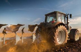 old 131913 Руководитель РСХБ в Республике Мордовия – о развитии рынка ГМТ