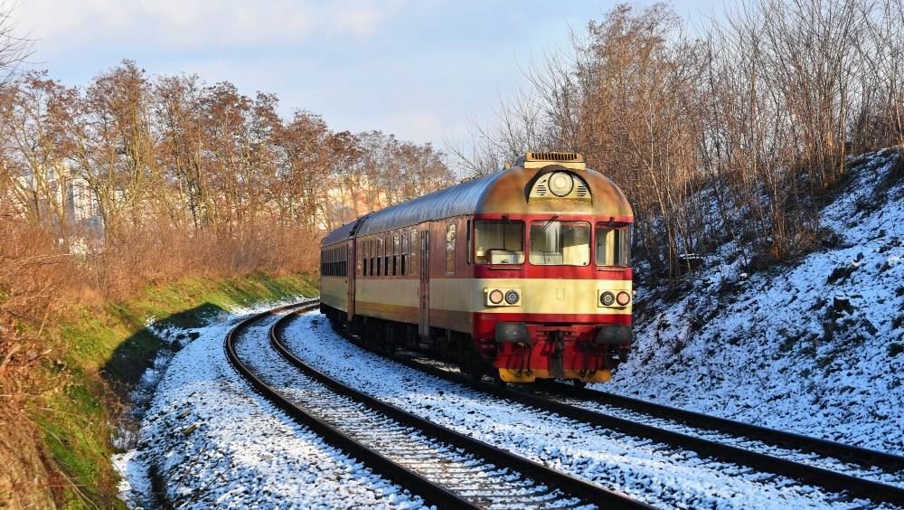 old 132878 В РЖД объяснили, почему теперь будет нельзя выбрасывать кошек из поездов