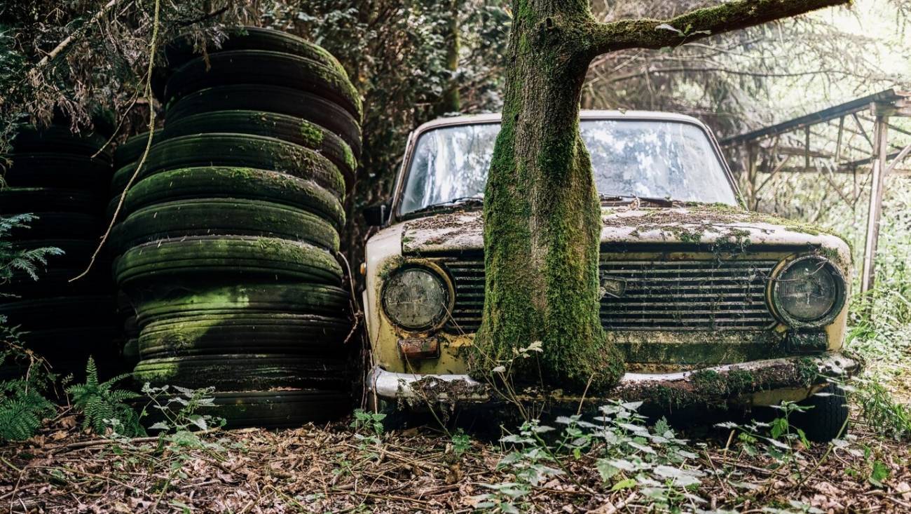 old 132964 Стало известно, что за жуткий маньяк жестоко убил юную девушку в Воронеже и выбросил ее тело в помойку