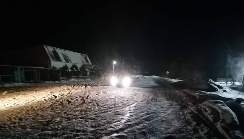 old 133433 В Кадошкинском районе парень сбил женщину и сбежал
