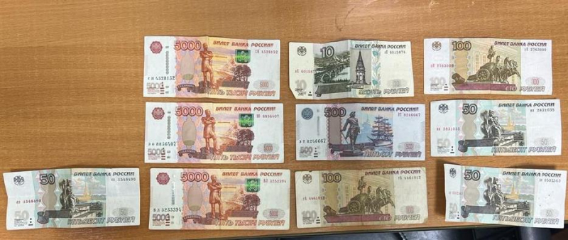1710235783464 800x600 1 Власти рассказали, на какие удивительные вещи теперь можно будет потратить материнский капитал в Петербурге