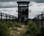 koloniya Петербуржец получил 12 лет колонии за 19 ударов всем подряд и веревку на шее