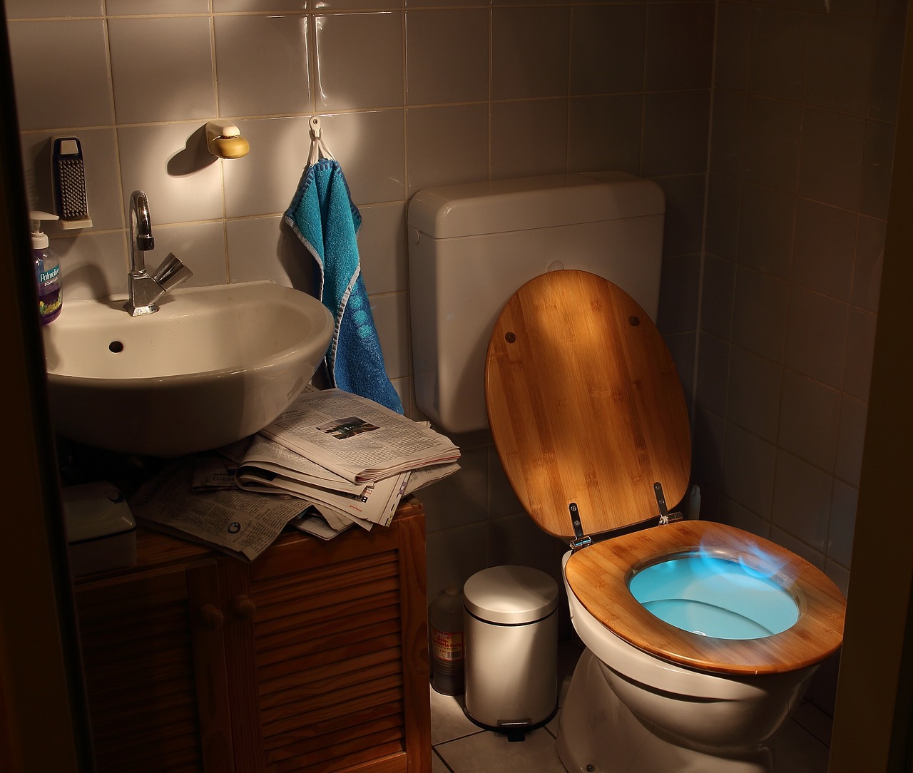 loo 2217076 1280 Мужчина признался в краже золотого унитаза Черчилля
