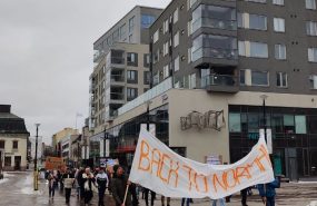 miting v finlyandii Жители Финляндии вышли на митинги, требуя открыть границы с Россией