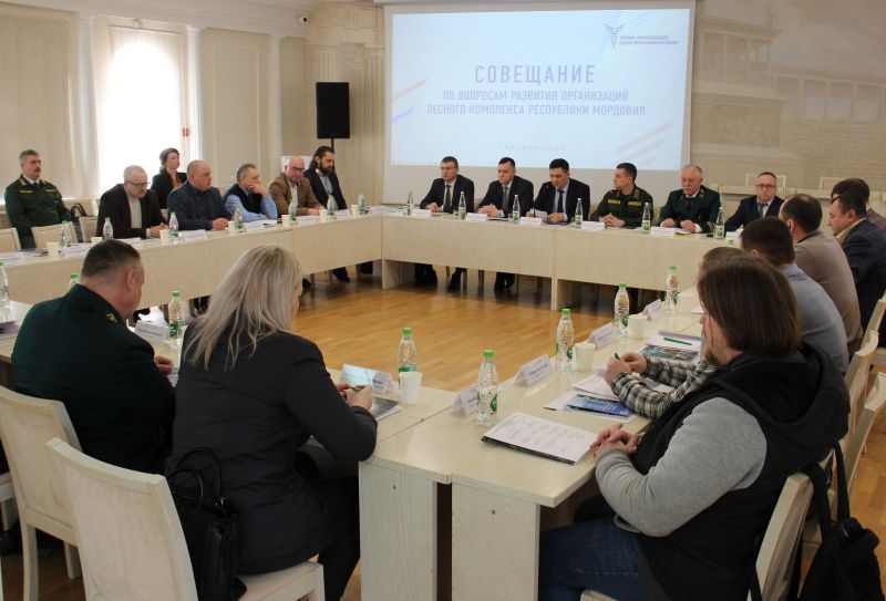 photo 5217602623270673807 w Минэкономики Мордовии озвучило меры поддержки лесного комплекса