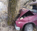 temnikovskiy 18.04 800x600 1 В Мордовии водитель погиб, влетев в дерево
